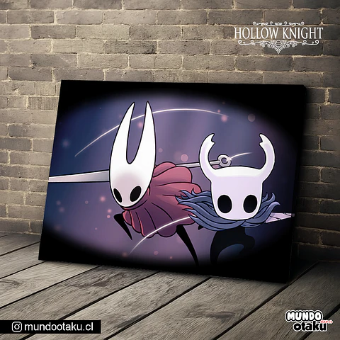 Cuadro Bastidor - Hollow Knight