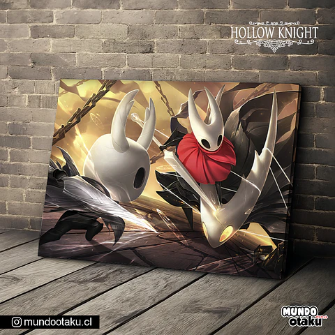 Cuadro Bastidor - Hollow Knight