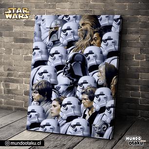 Cuadro Bastidor - Star Wars