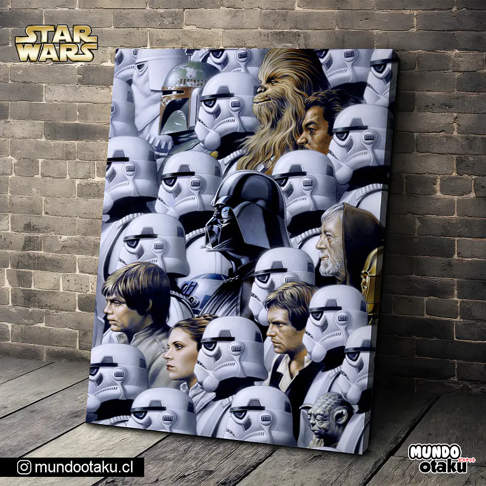 Cuadro Bastidor - Star Wars 1