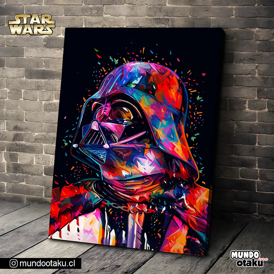 Cuadro Bastidor - Star Wars 1