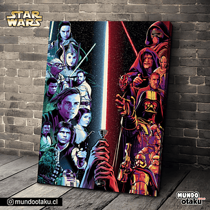 Cuadro Bastidor - Star Wars