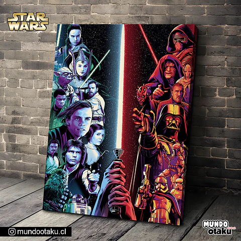 Cuadro Bastidor - Star Wars