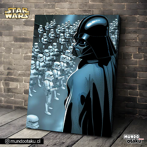 Cuadro Bastidor - Star Wars