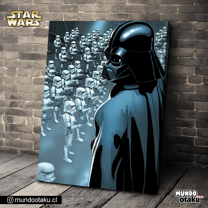 Cuadro Bastidor - Star Wars 1