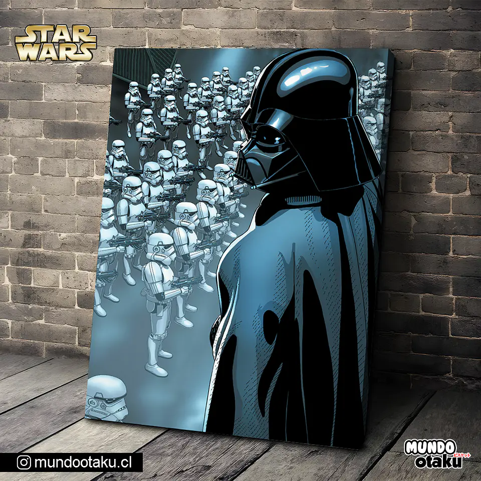 Cuadro Bastidor - Star Wars 1