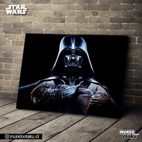 Cuadro Bastidor - Star Wars