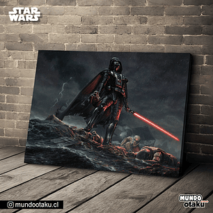 Cuadro Bastidor - Star Wars