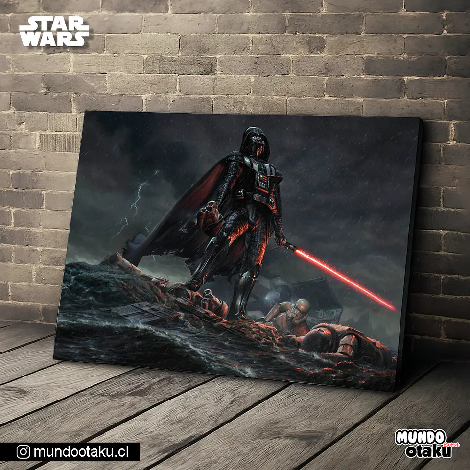 Cuadro Bastidor - Star Wars 1