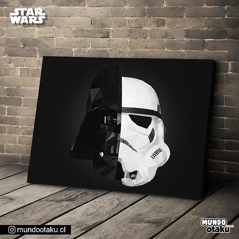Cuadro Bastidor - Star Wars