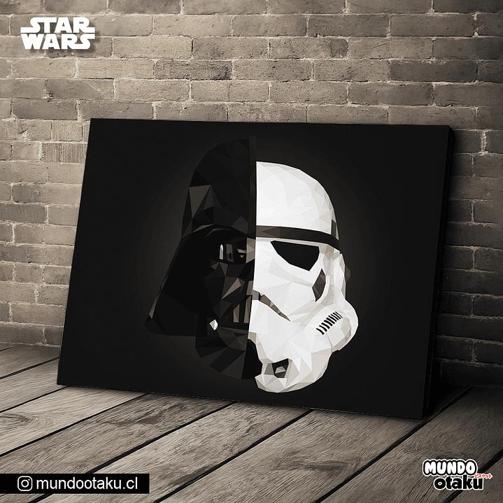 Cuadro Bastidor - Star Wars 1