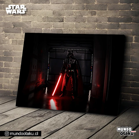 Cuadro Bastidor - Star Wars