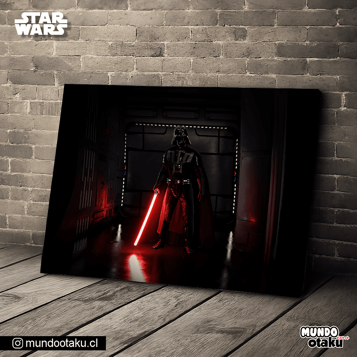 Cuadro Bastidor - Star Wars 1