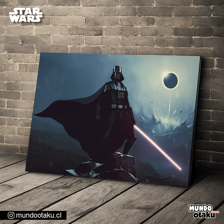 Cuadro Bastidor - Star Wars 1