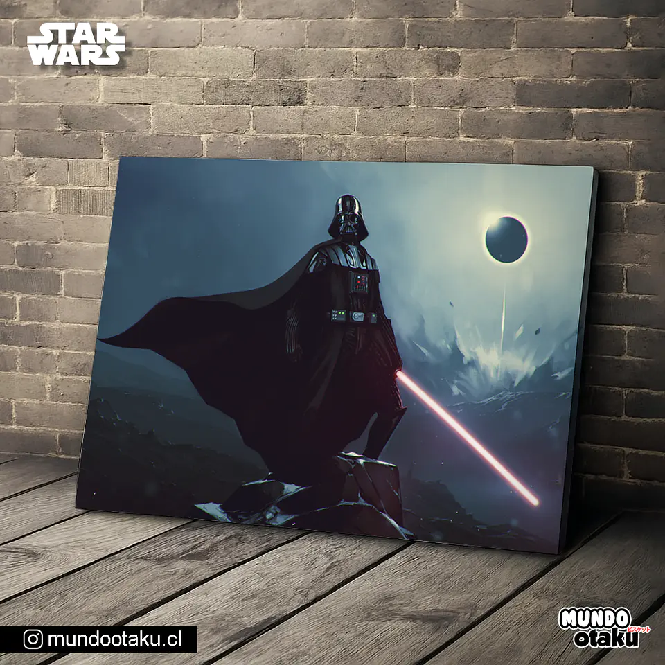 Cuadro Bastidor - Star Wars 1