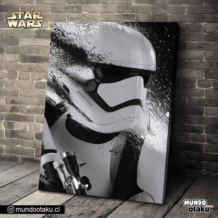 Cuadro Bastidor - Star Wars 1