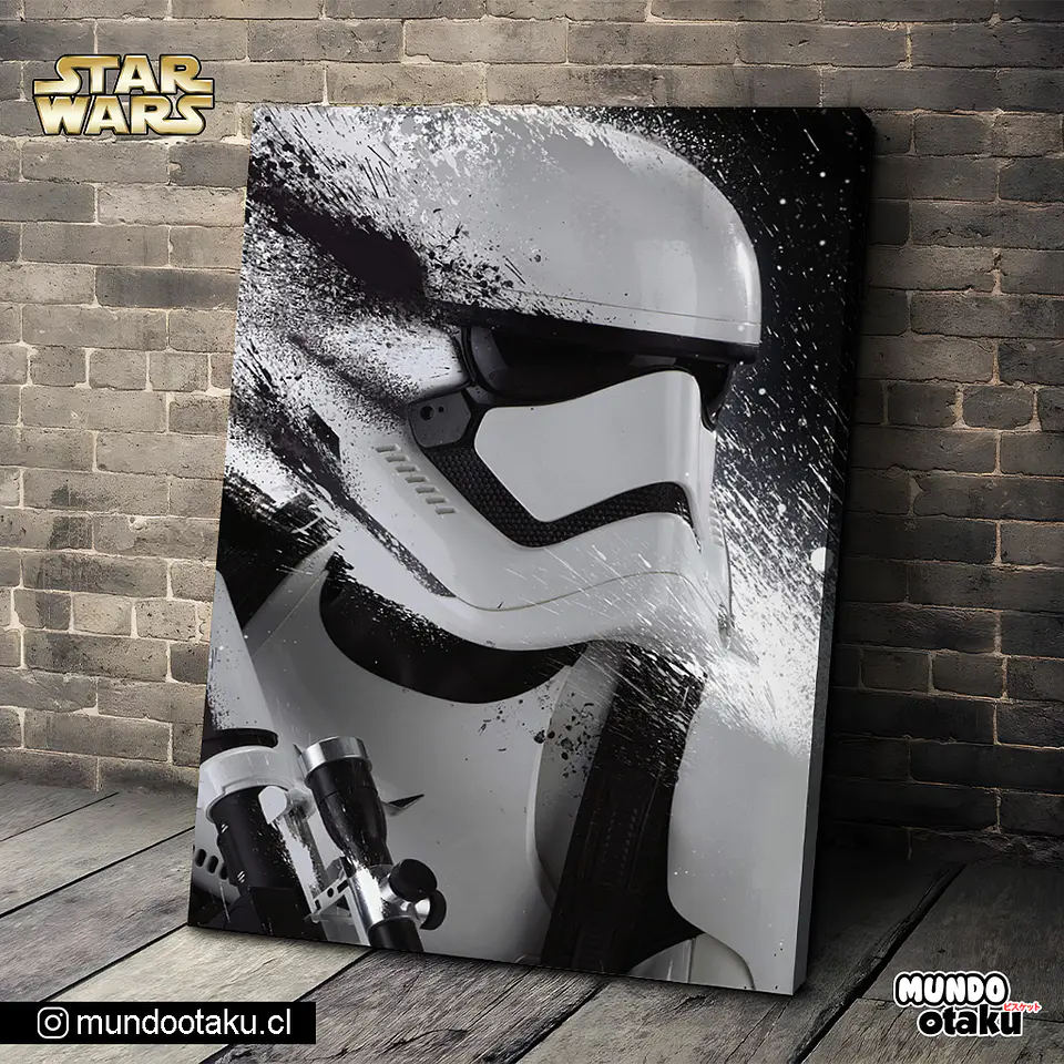 Cuadro Bastidor - Star Wars 1