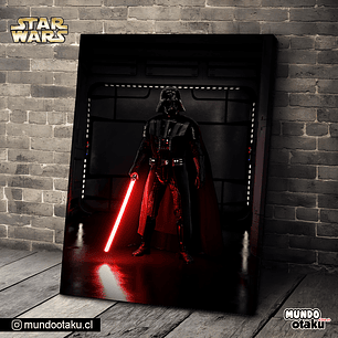 Cuadro Bastidor - Star Wars