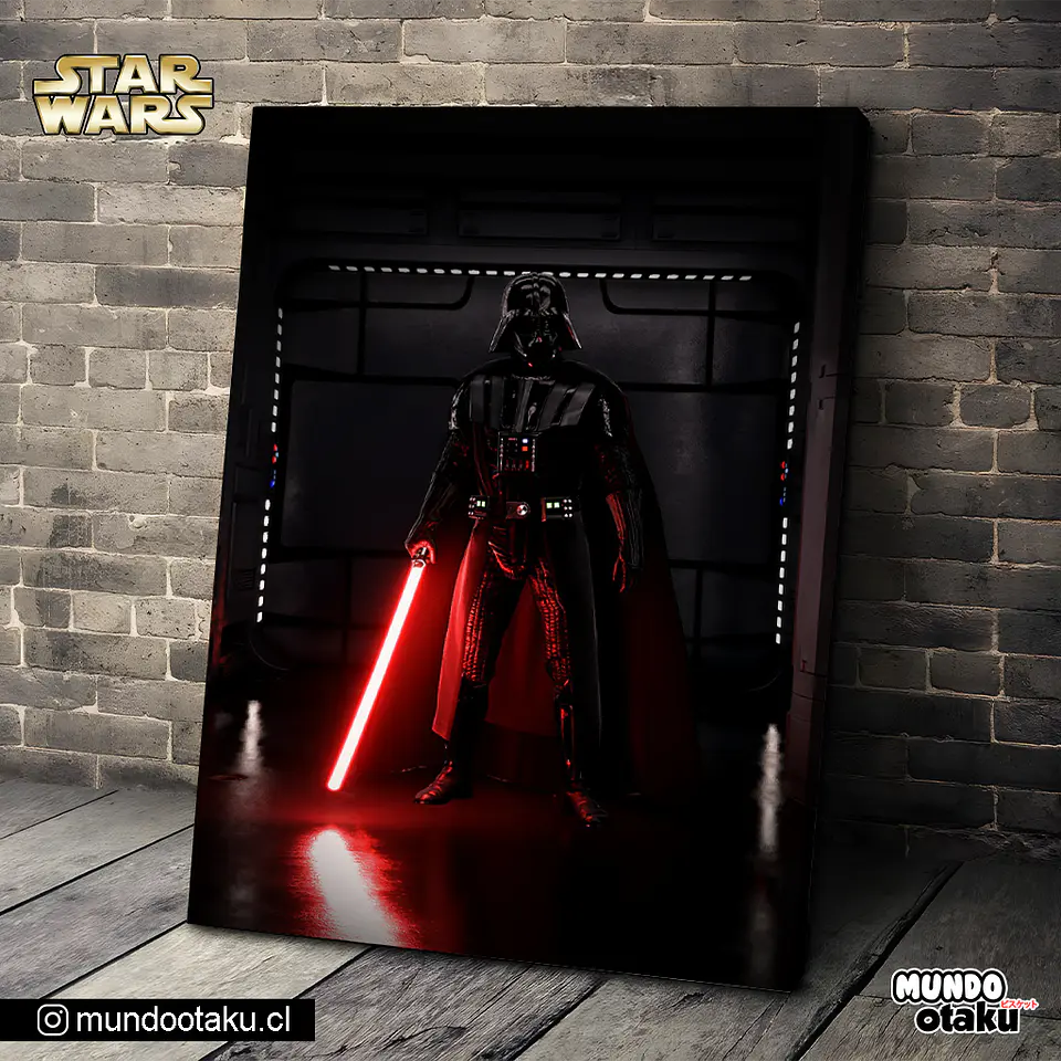 Cuadro Bastidor - Star Wars 1
