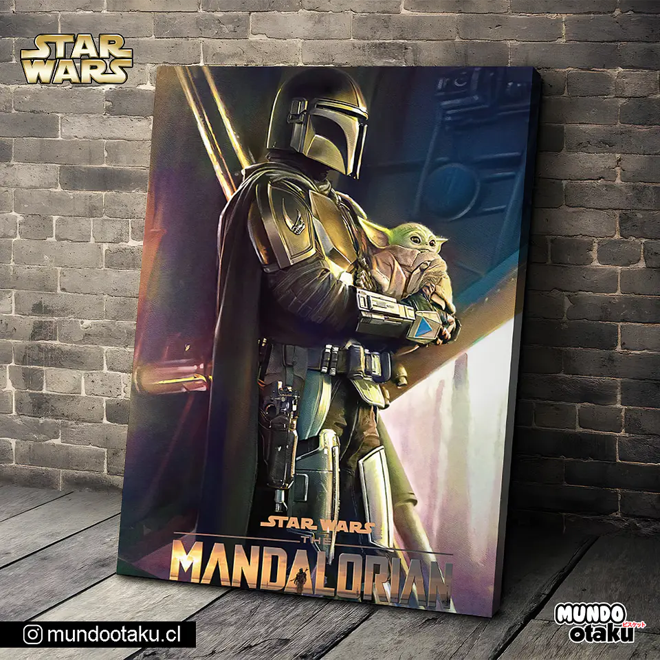 Cuadro Bastidor - Star Wars 1