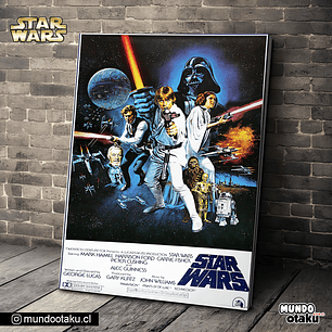 Cuadro Bastidor - Star Wars