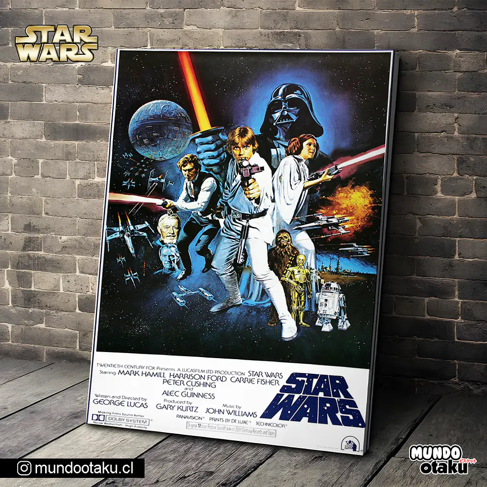 Cuadro Bastidor - Star Wars 1
