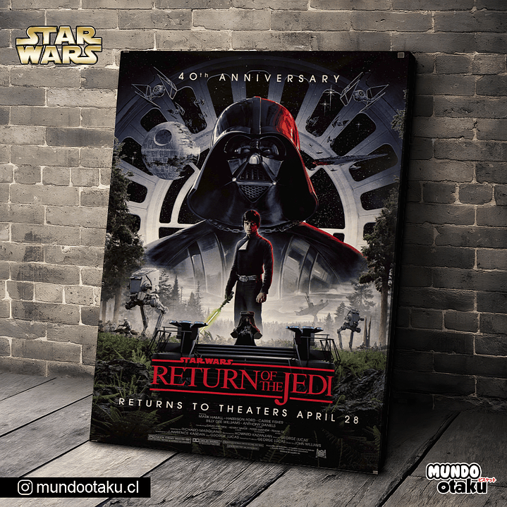 Cuadro Bastidor - Star Wars 1