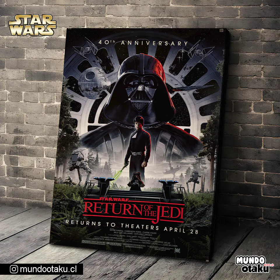 Cuadro Bastidor - Star Wars 1
