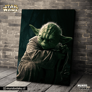 Cuadro Bastidor - Star Wars