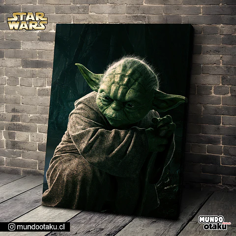 Cuadro Bastidor - Star Wars