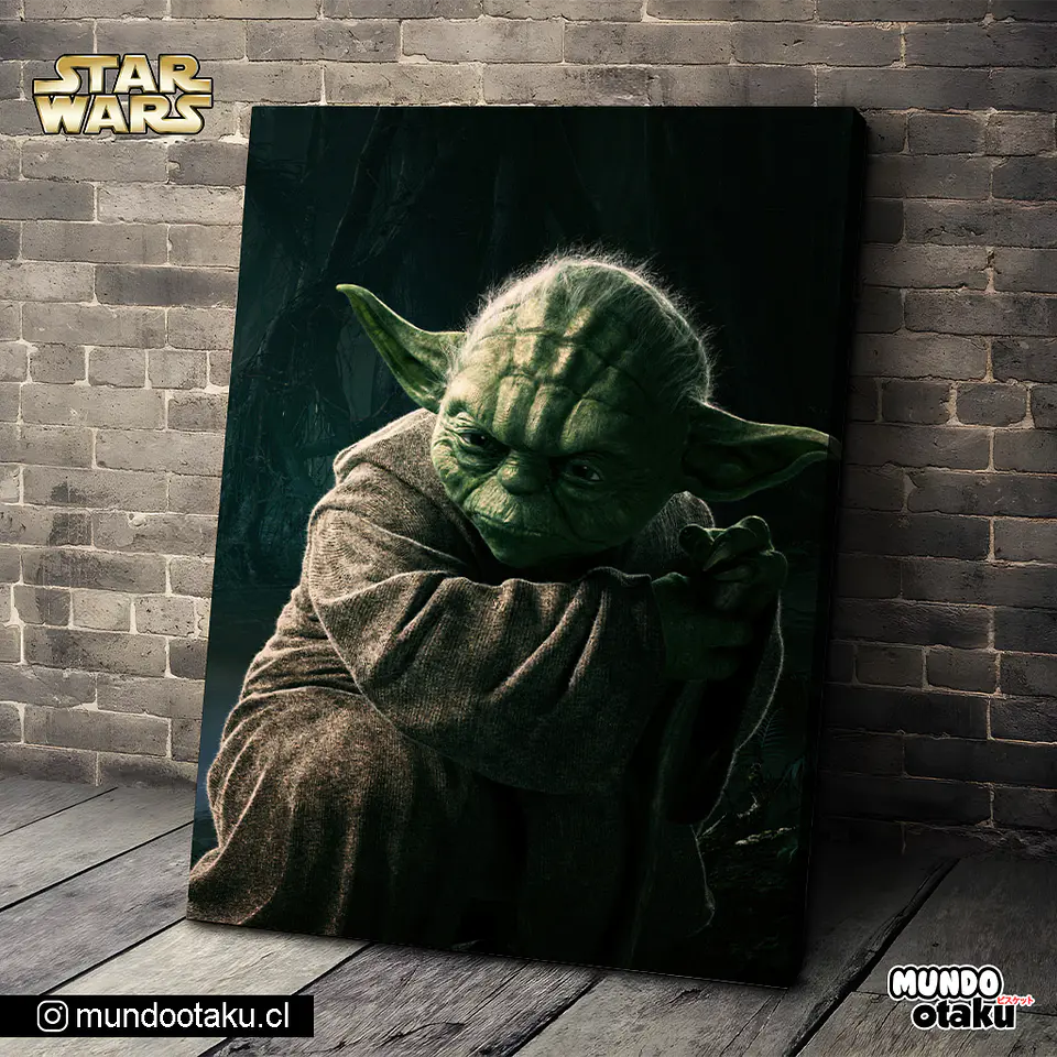 Cuadro Bastidor - Star Wars 1