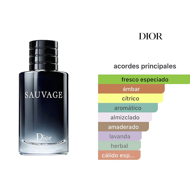Sauvage Dior Edt 100ml  2