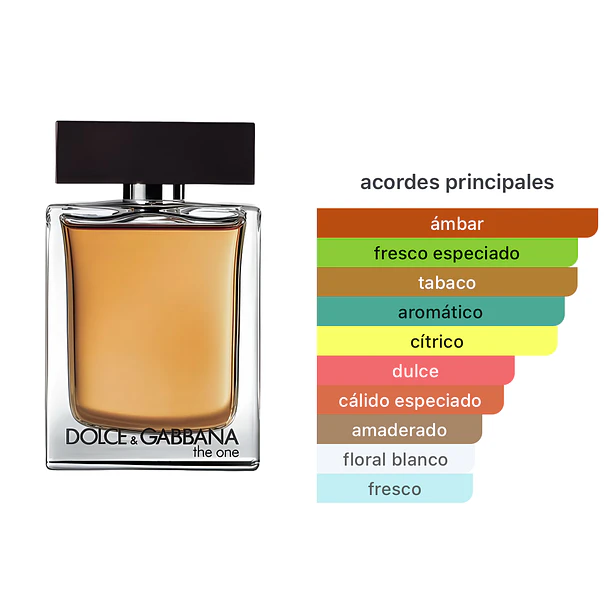 The One Edt 100ml Dolce & Gabbana  2
