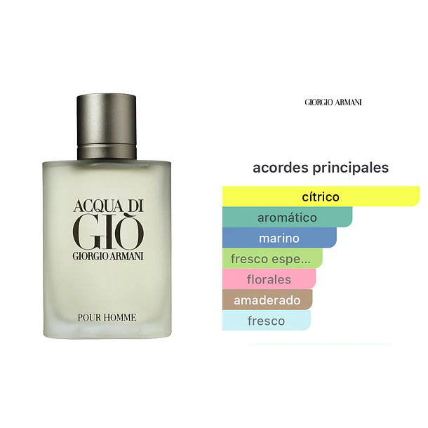 Acqua di Gio Edt 100ml Giorgio Armani  2