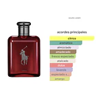 Polo Red Parfum 125ml Ralph Lauren  2