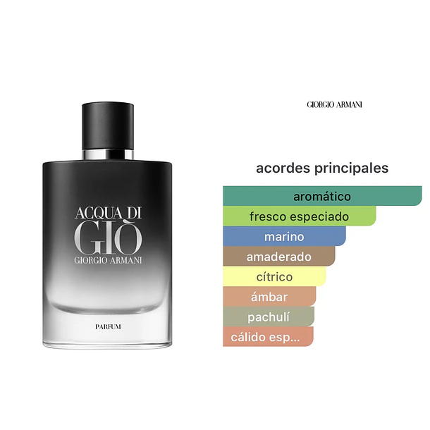 Acqua di Gio Parfum 100ml Giorgio Armani 2