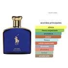 Polo Gold Blend Eau de Parfum 125ml Ralph Lauren 2