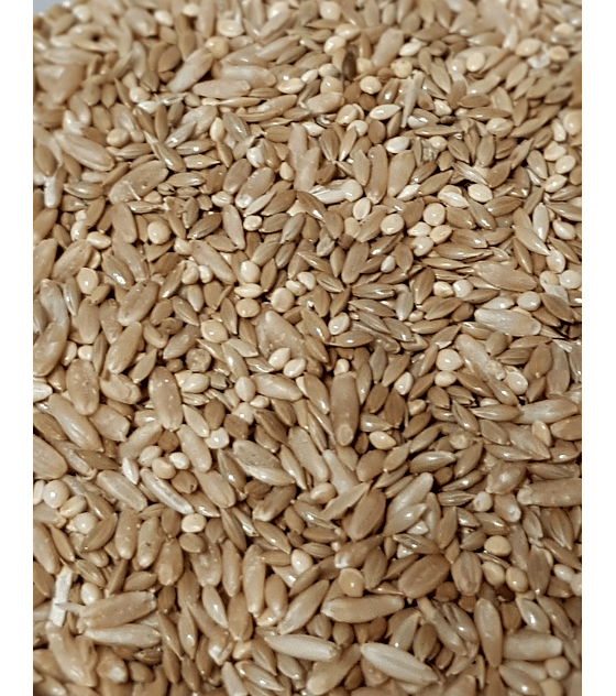 Mezcla semillas catas 1 kg