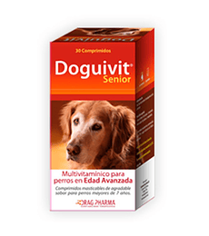 Doguivit Senior