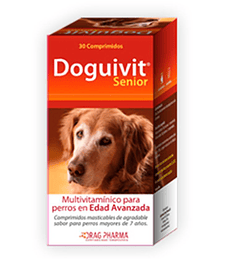Doguivit Senior