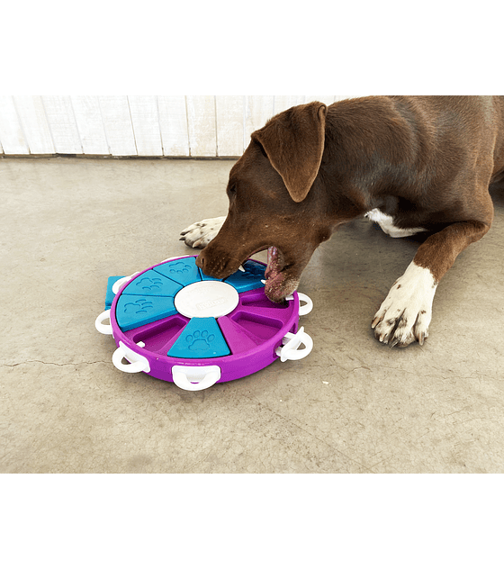 Juguete interactivo Dog Twister