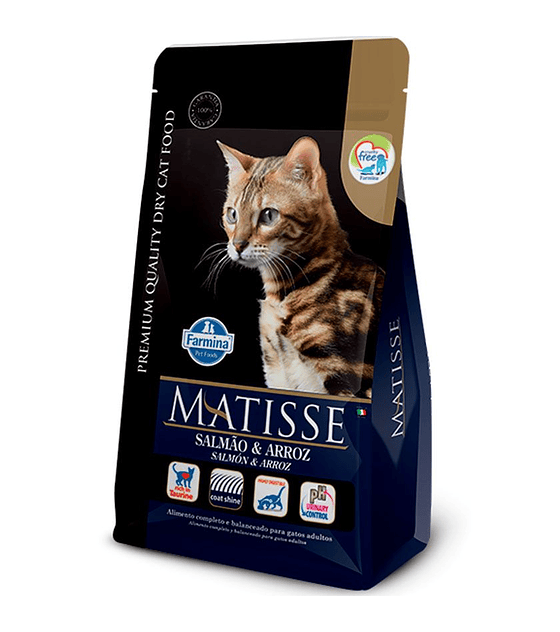 Matisse Gatos Adultos Salmón y Arroz 2kg