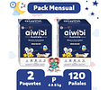 Pack Mensual Aiwibi Dulce Noche P 120 Pañales