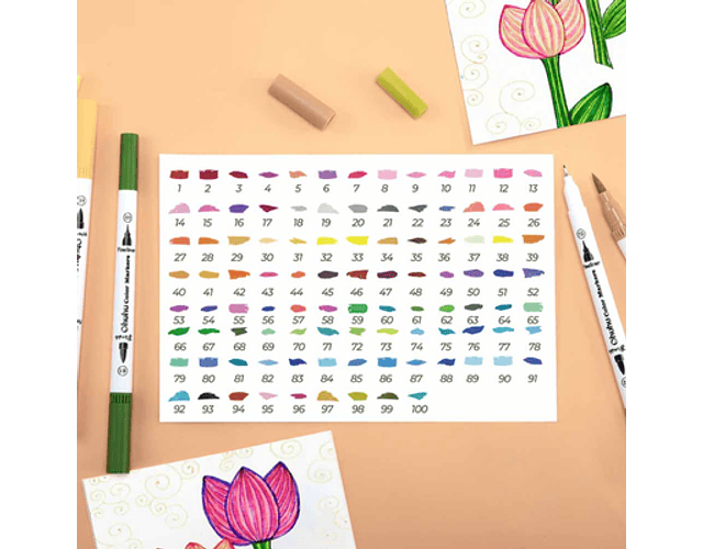 OHUHU MAUI 120 MARCADORES A BASE DE AGUA (ESTUCHE VERDE) PINCEL&FINELINER