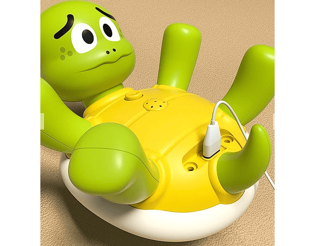 Juguete De Agua Tortuga 