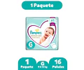 Pampers Premium Care G 16 pañales
