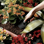 Pala De Mano Fiskars De Fibra Compuesta