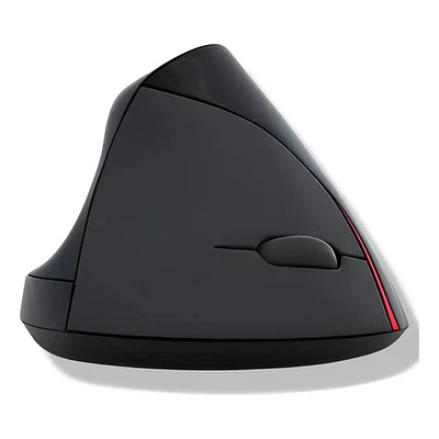 Mouse Vertical Ergonómico Inalámbrico Recargable Tecmaster Negro