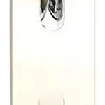 Pandero 10” Madera Sonajas 6 Chapas Hendrix 