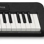 Teclado Casio Casiotone CT-S100 61 teclas